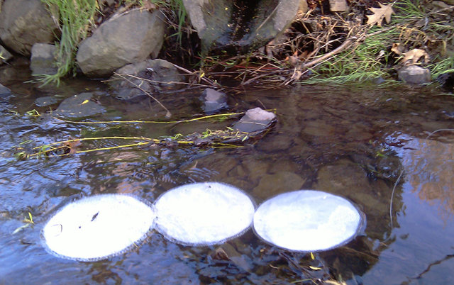 Les LilyPads dépolluent l'eau et améliorent la qualité de l'environnement Lilypads nanotech