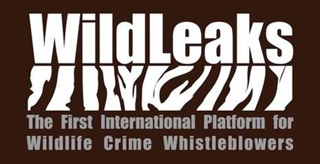 WildLeaks contre les crimes contre la nature WildLeaks, la première plateforme internationale pour les lanceurs d'alerte de l'environnement