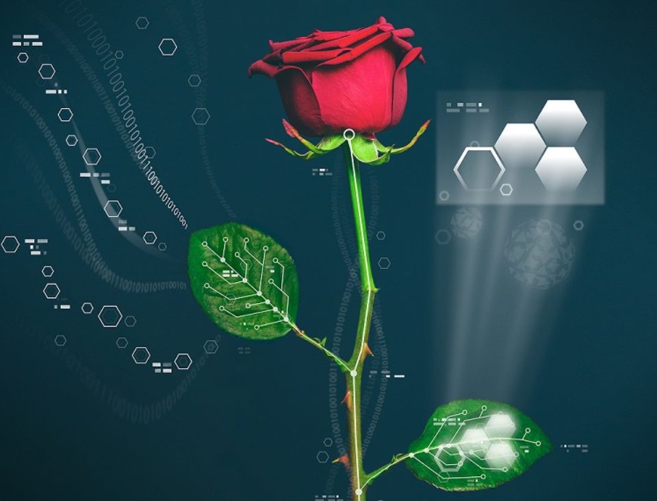 828919-plante-cyborg