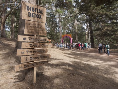 Digital detox : déconnectez-moi !