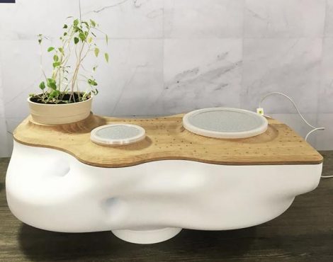 Biovessel : la déco qui composte !