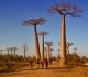 Découverte d’une nouvelle Amazonie