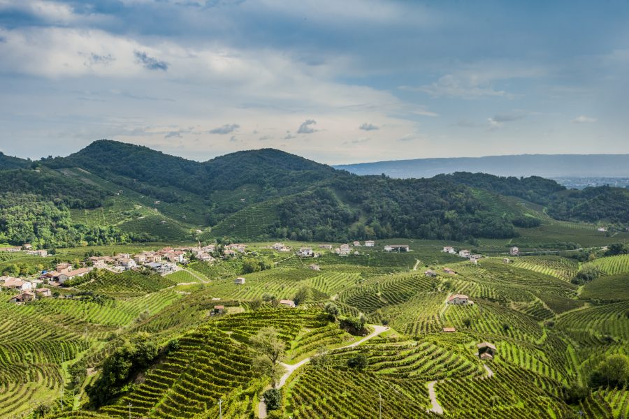 Vignobles de prosecco de Valdobbiadene