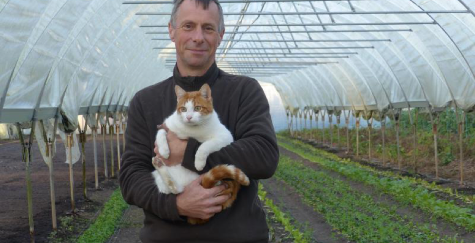 Des chats pour protéger l’agriculture bio