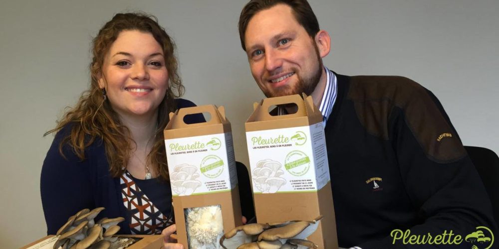 Pleurette : recycler les ressources locales en pleurotes