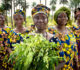 Climat : Les femmes rurales sont une « force puissante » pour l’action climatique, selon l’ONU