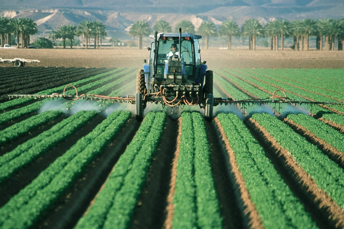 Allemagne : une nouvelle étude lie la pollution à l’agriculture