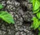 Cleantech open France : un concours pour faire pousser les entreprises en herbe