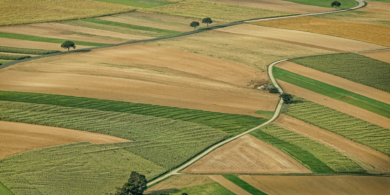 Pluie de février, emplit les greniers : état des lieux de l’agriculture française en 2023