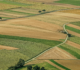 Pluie de février, emplit les greniers : état des lieux de l’agriculture française en 2023