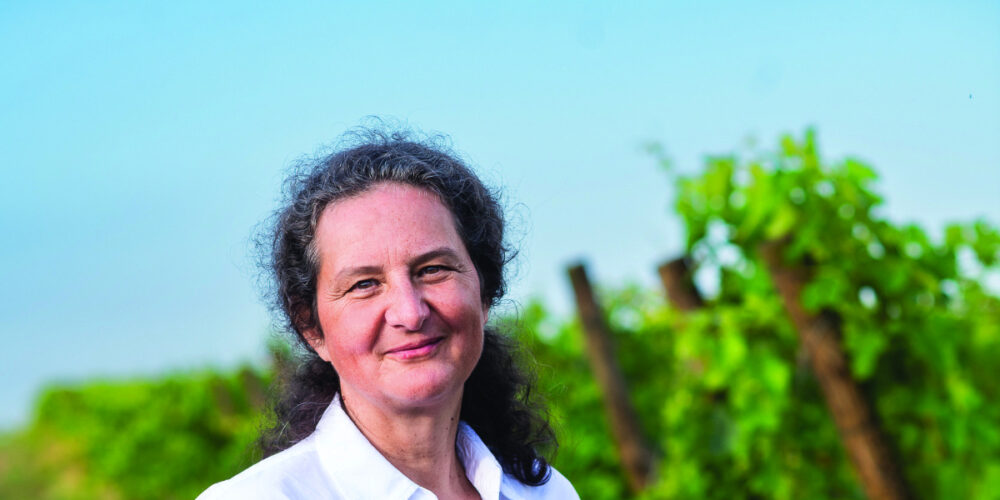 Viticulture bio : Travailler « pour quelqu’un qui viendra après »
