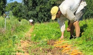 Lutter contre le burn-out agricole par le collectif