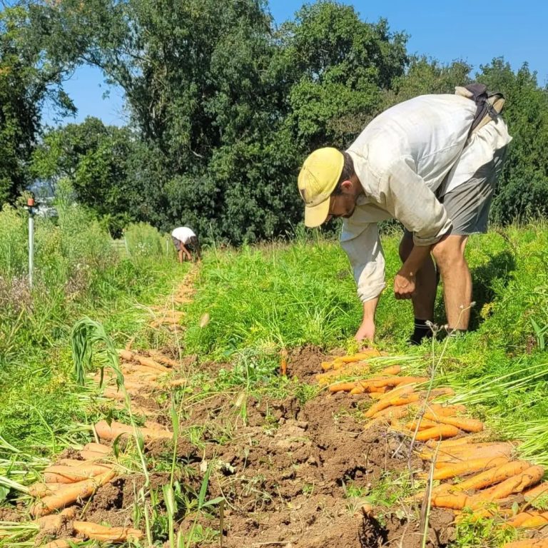 Lutter contre le burn-out agricole par le collectif